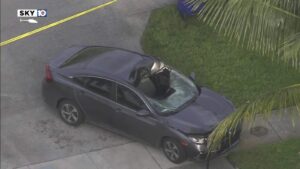 deadly hit-and-run crash