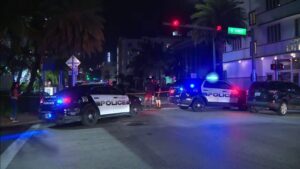 Miami Beach stabbing victim